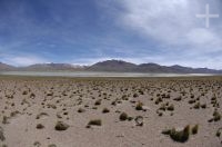 Paisagem, a Laguna de Vilama, no Altiplano (Puna) da província de Jujuy, Argentina