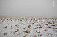 The Altiplano (Puna) under snow, near Pocitos, province of Salta, Argentina