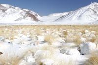 O Altiplano (Puna) sob neve, "Quebrada del Agua", perto do passo e vulcão Socompa, província de Salta, Argentina