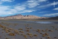 O Altiplano (Puna) andino, Argentina