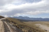 Road on the Altiplano of the province of Salta, Argentina