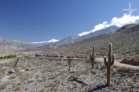 Camino en el alto valle Calchaquí, provincia de Salta, Argentina
