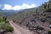 Estrada no alto vale Calchaquí, província de Salta, Argentina