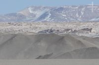 O campo de pedra pome de El Peñón, no Altiplano (Puna) de Catamarca, Argentina