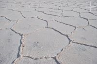 A superfície de um salar, no Altiplano (Puna) andino, Argentina