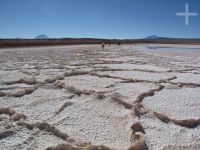 The Tolar Grande salt flat, on the Altiplano (Puna) of Salta, Argentina