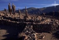 Pre-Inca ruins of Santa Rosa de Tastil, province of Salta, Argentina, the Andes Cordillera