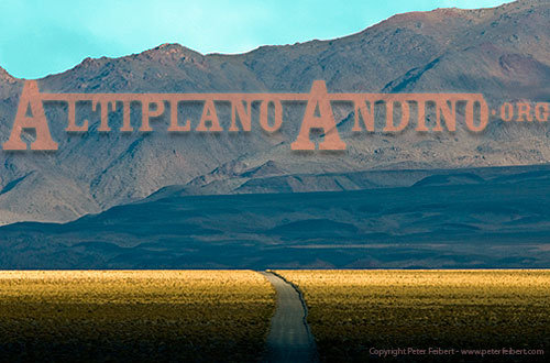 O Altiplano Andino